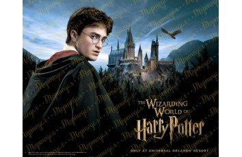 Съедобная картинка Гарри Поттер №1