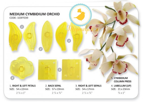 Набор вырубок "Орхидея" Cymbidium из 8 единиц.Купить в Киеве,Харькове и Украине по лучшей цене в интернет магазине Тортодел